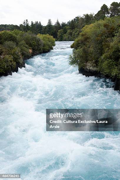 white water rapids, auckland, new zealand - torrent 個照片及圖片檔