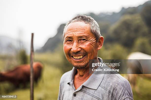 portrait of smiling farmer with livestock in the background, rural china, shanxi province - farmer female confident stock pictures, royalty-free photos & images