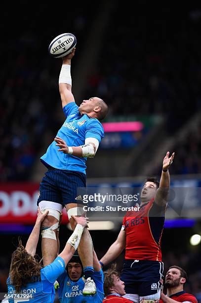 Italy captain Sergio Parisse wins a line out ball during the RBS Six Nations match between Scotland and Italy at Murrayfield Stadium on February 28,...
