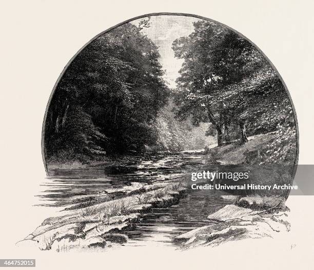 Rokeby Park Fotografías e imágenes de stock Getty Images