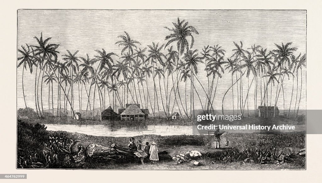 The Summer Residence Of The Late King Kamehameha V. At Waikiki