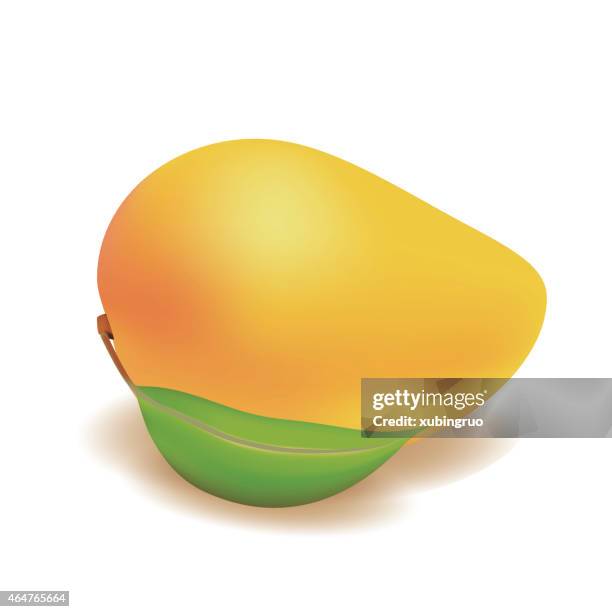 mango on a white background - mango white background stock illustrations