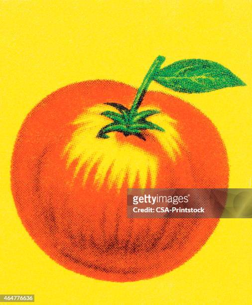 apple - tomato stock illustrations