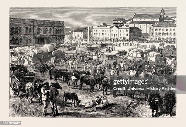 The Early Morning Market, Port Elizabeth, Cape Colony, South Africa.