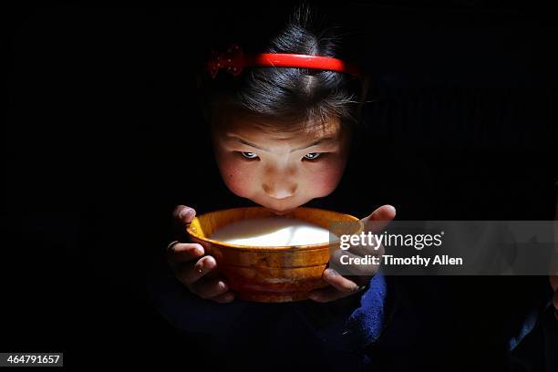 mongolian nomadic girl drinking bowl of milk - independent mongolia stock pictures, royalty-free photos & images