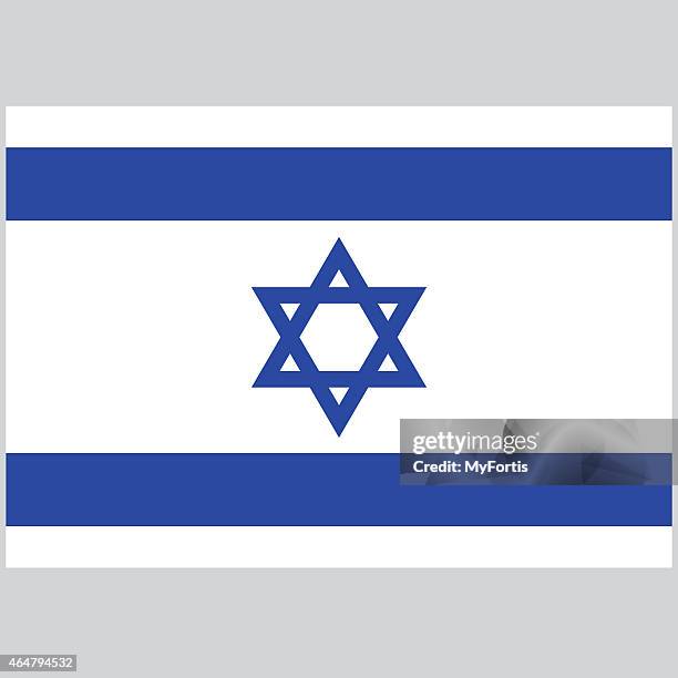 bildbanksillustrationer, clip art samt tecknat material och ikoner med national flag of israel - israeli ethnicity