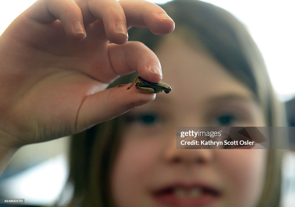 The Green Team 4H Club at the Denver Language School receive a lesson in insect-eating.