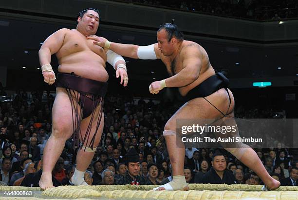 Egyptian wrestler Osunaarashi whose real name is Abdelrahman Sharan pushes out Tokushoryu during day twelve of the Grand Sumo New Year Tournament at...