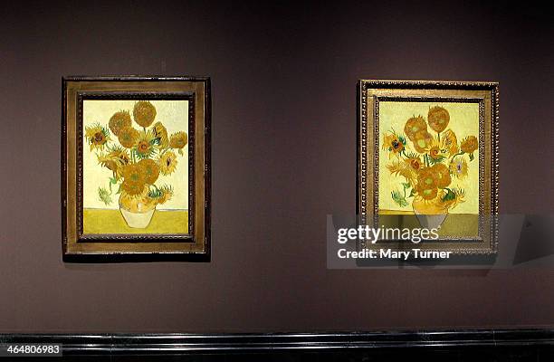 Two of Van Gogh's 'Sunflowers' hang side by side on display in a new exhibition at the National Gallery on January 24 2014, in London, England. The...