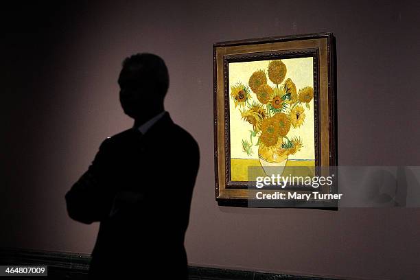 Gallery assistant stands beside two of Van Gogh's 'Sunflowers' which are on display in a new exhibition at the National Gallery on January 24 2014,...