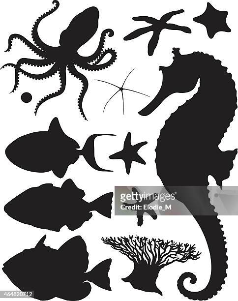 shadows of the sea / silhouettes de la mer - sea horse stock illustrations