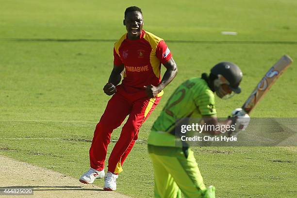 Tawanda Mupariwa of Zimbabwe celebrates after dismissing Sohaib Maqsood of Pakistan during the 2015 ICC Cricket World Cup match between Pakistan and...