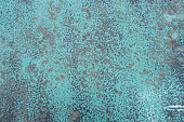 Patina textured wall surface