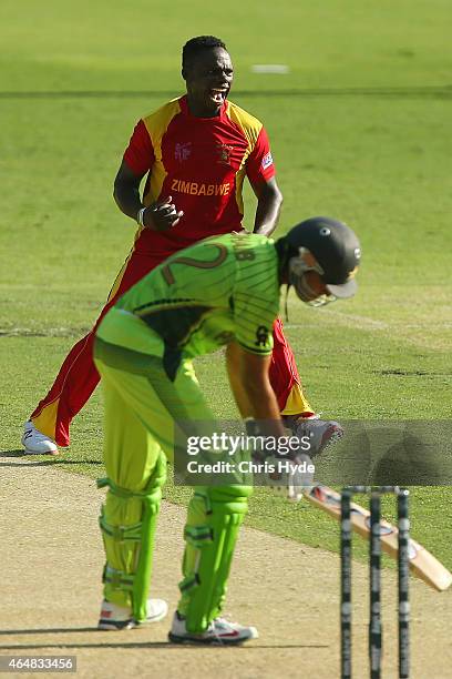 Tawanda Mupariwa of Zimbabwe celebrates after dismissing Sohaib Maqsood of Pakistan during the 2015 ICC Cricket World Cup match between Pakistan and...
