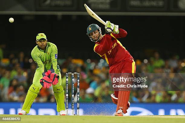 Brendan Taylor of Zimbabwe bats during the 2015 ICC Cricket World Cup match between Pakistan and Zimbabwe at The Gabba on March 1, 2015 in Brisbane,...