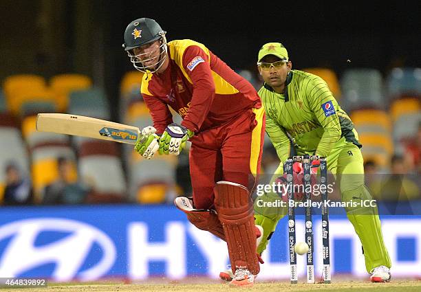 Brendan Taylor of Zimbabwe plays a shot during the 2015 ICC Cricket World Cup match between Pakistan and Zimbabwe at The Gabba on March 1, 2015 in...