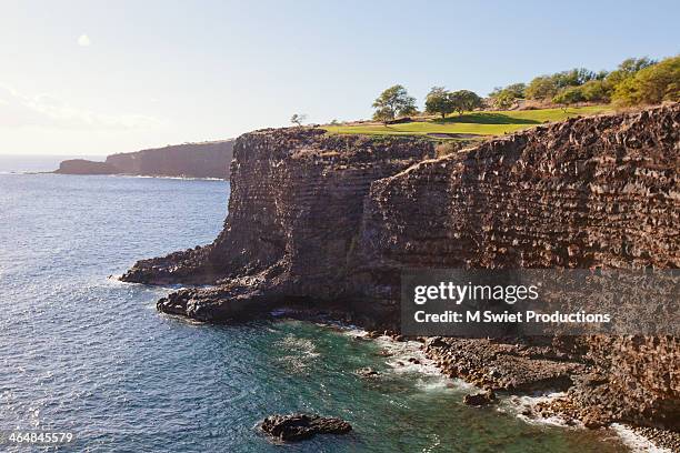 lanai island - lanai imagens e fotografias de stock