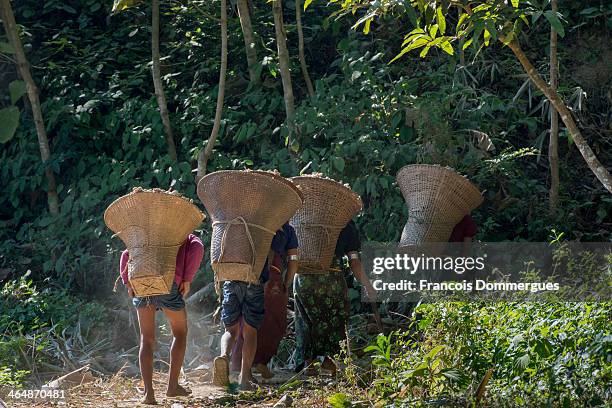 With a population of just over 20 the Mrus are an indigenous community inhabiting Arakan in Myanmar and the Chittagong Hill Tracts of Bangladesh,...