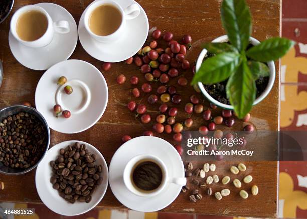 coffee in all its stages on table - seleccion colombia stock-fotos und bilder