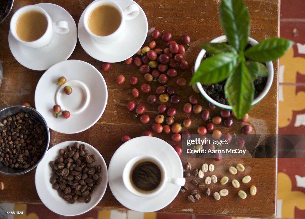 Coffee in all its stages on table