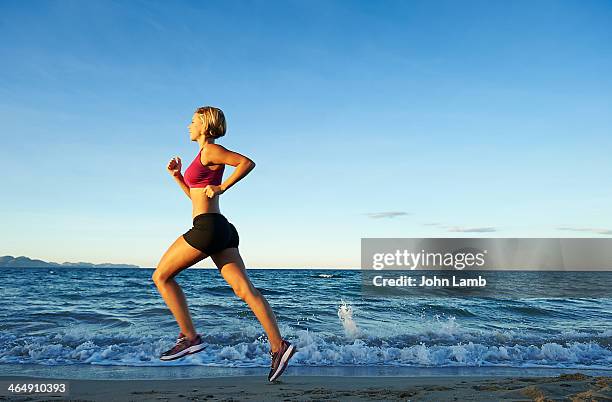 sunset run - john hale stock pictures, royalty-free photos & images