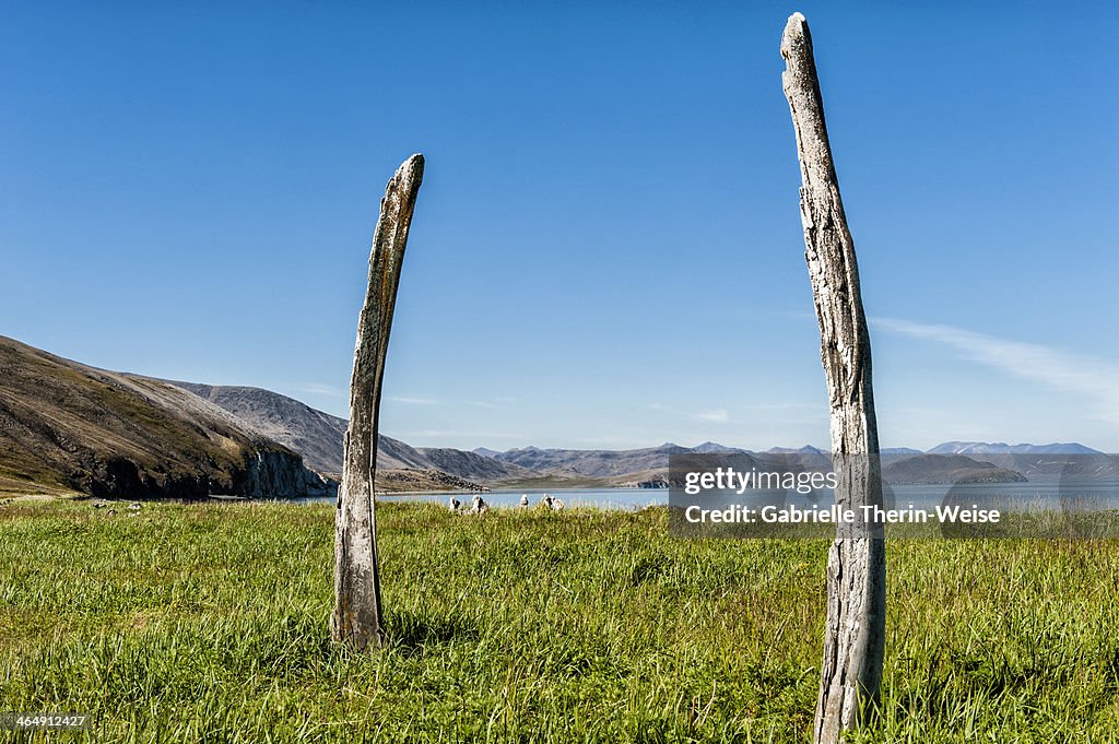 Whale Bone Alley