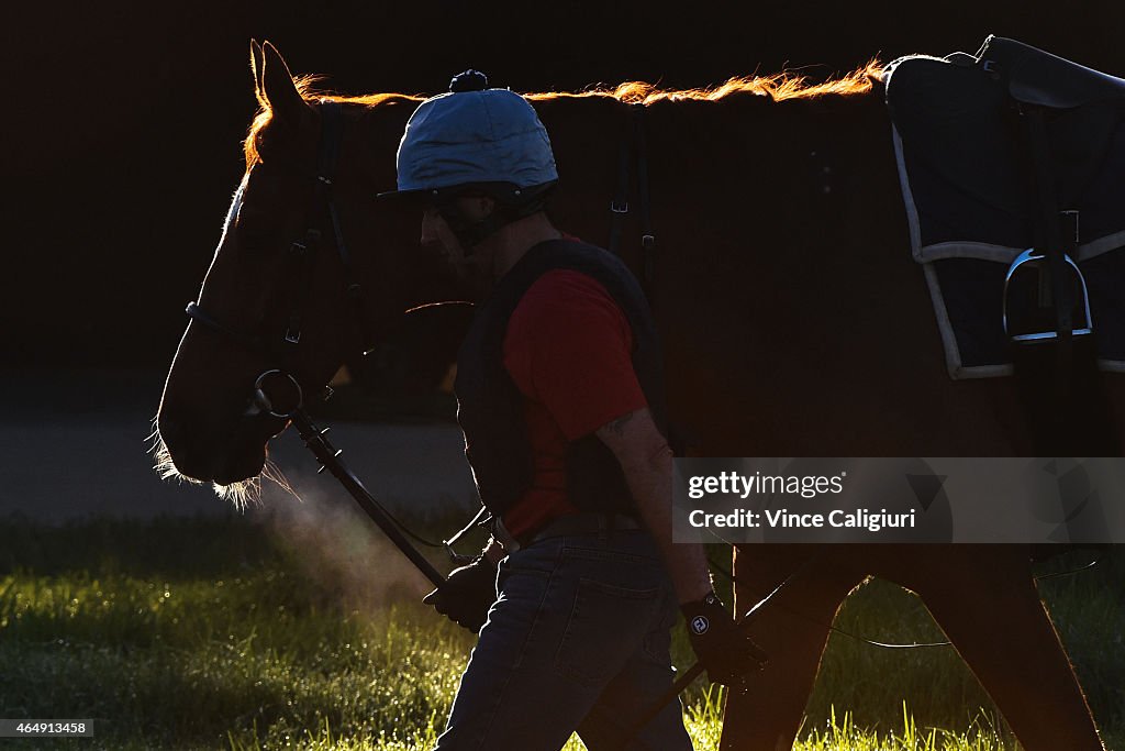 Werribee Trackwork Session