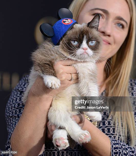 Grumpy Cat attends the premiere of "Cinderella" at the El Capitan Theatre on March 1, 2015 in Hollywood, California.