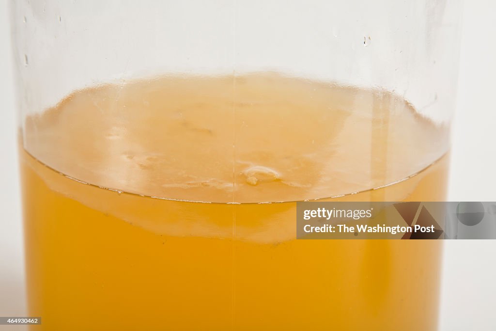 Items used in the process of making Capital Kombucha's beverages at DC Union Kitchen in Washington DC.