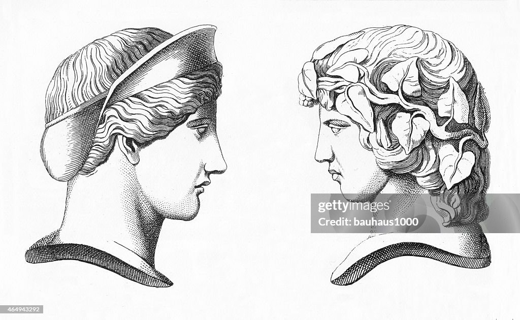 Roman Busts Engraving