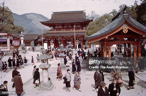 People enjoy fully bloomed plums at Dazaifu Tenmangu Shrine on March 7, 1973 in Dazaifu, Fukuoka, Japan.