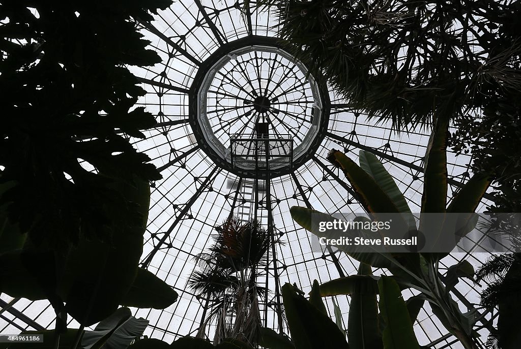 Allan Gardens