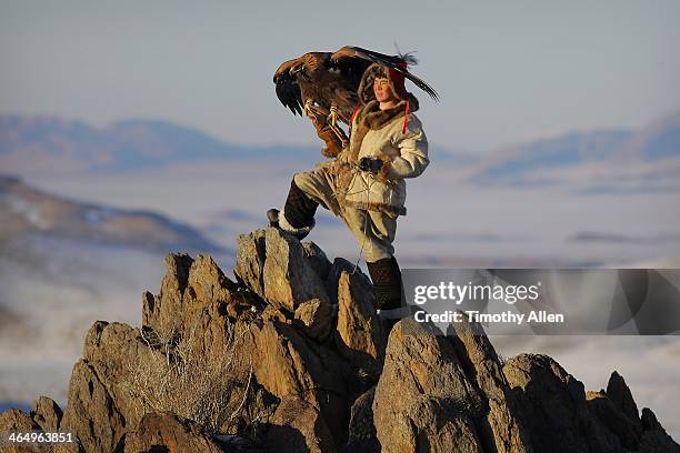 kazakh golden eagle hunter in altai mountains - altai mountains stock pictures, royalty-free photos & images