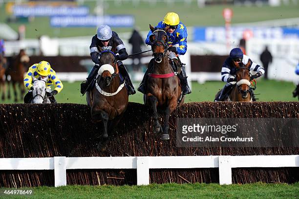 Jason Maguire riding Indian Castle clear the last to win The Timeform Novices' handicap Steeple Chase at Cheltenham racecourse on January 25, 2014 in...