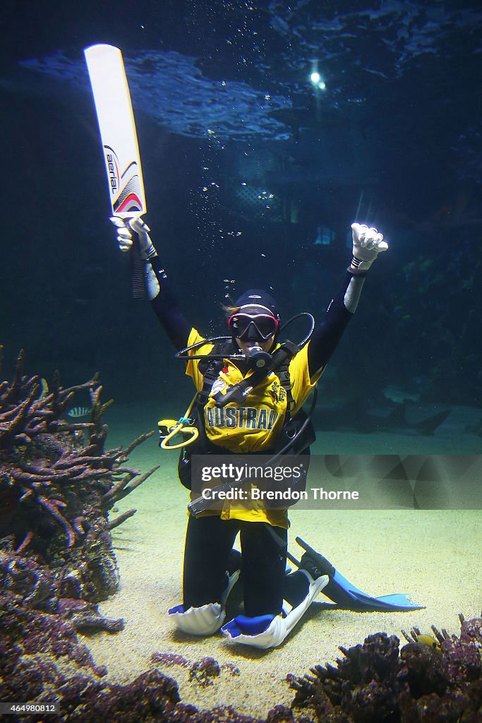 Cricket World Cup Fever Hits SEA LIFE Sydney Aquarium