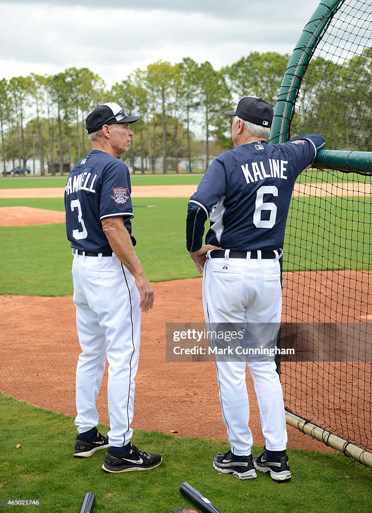 Detroit Tigers Spring Training