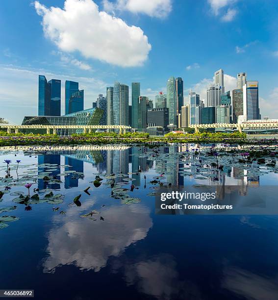 singapore skyline 2015 from art science museum - pool marina bay sands hotel singapore stock pictures, royalty-free photos & images