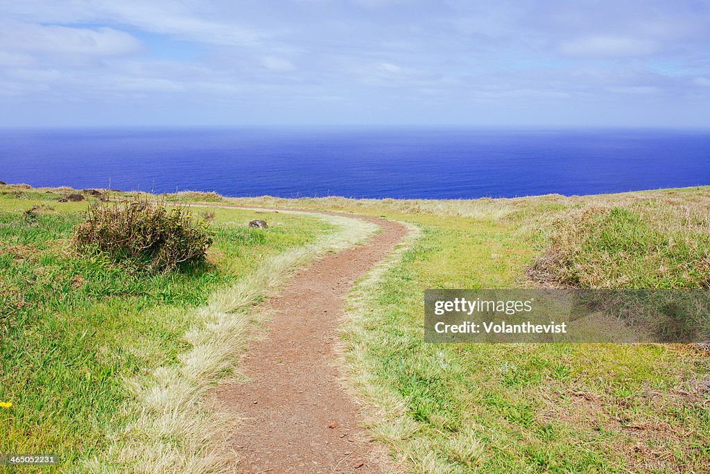 Dirt road surrounded by green grass to the sea