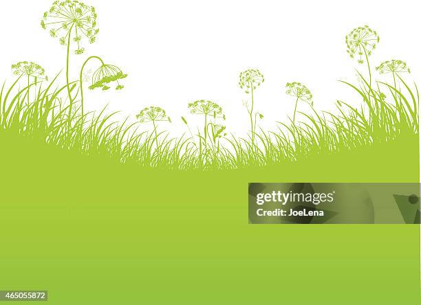 green background with copy space - dill stock illustrations