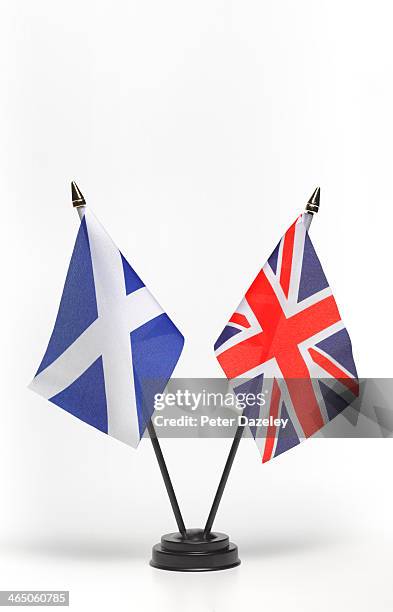 scottish independence referendum flags - referéndum sobre la independencia escocesa 2014 fotografías e imágenes de stock