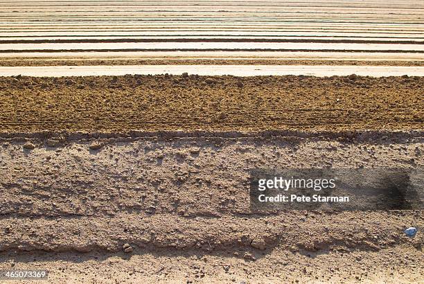 graded agriculture field ready for planting - 陸地 ストックフォトと画像