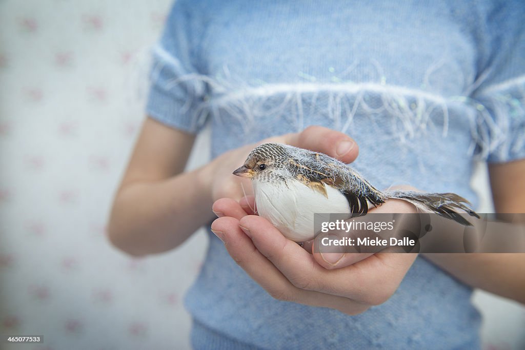 Child holding a house sparrow