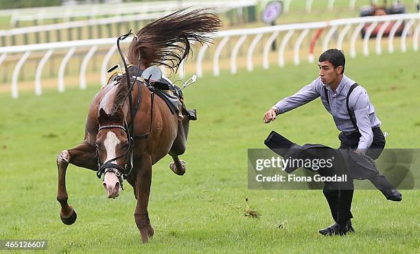 Australian horse Massale injured after going down in the Karaka Million at Ellerslie Racecourse on January 26, 2014 in Auckland, New Zealand. Karaka...