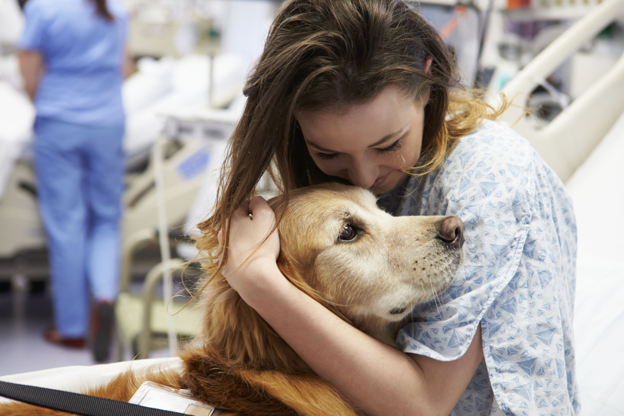 pets therapy