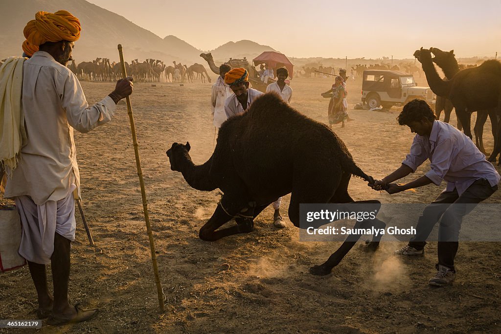 War at Pushkar