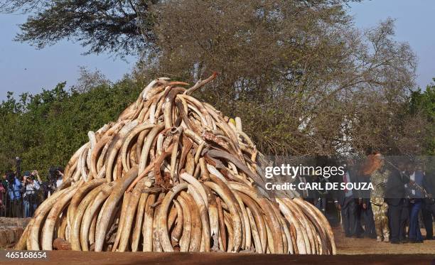 Kenyan President Uhuru Kenyatta holds a burning torch as he prepares to burn a pile of 15 tonnes of elephant ivory seized in kenya in Nairobi...