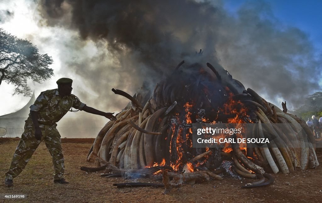 KENYA-WILDLIFE-CONSERVATION-IVORY-BURN