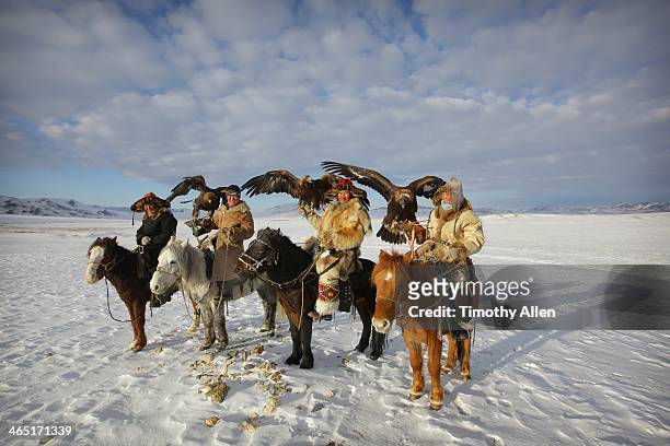 kazakh golden eagle hunters on horseback - mongolia foto e immagini stock