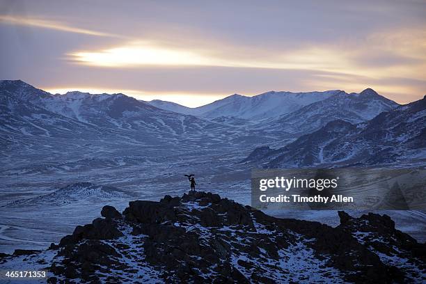 silhouetted golden eagle hunter in epic mountains - águia serrana imagens e fotografias de stock