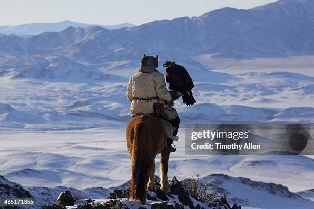 kazakh golden eagle hunter in altai mountains - jägermütze stock-fotos und bilder
